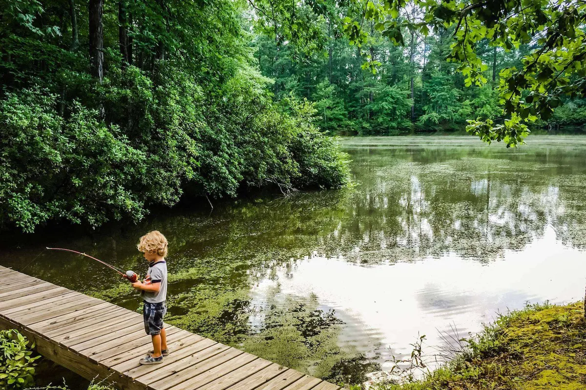 An exterior scene showing a young child fishing on a wooden dock, surrounded by calm water and lush greenery. The peaceful and playful moment highlights the family-friendly nature of the area, suggesting relaxation and togetherness after a busy event day.